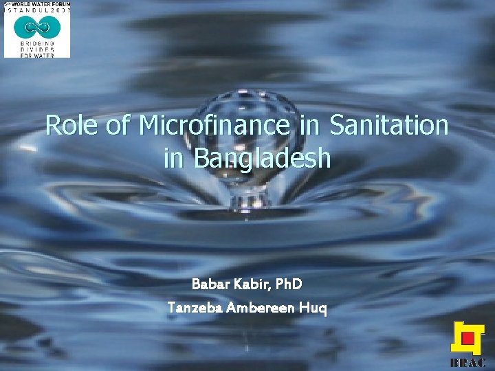 Role of Microfinance in Sanitation in Bangladesh Babar Kabir, Ph. D Tanzeba Ambereen Huq
