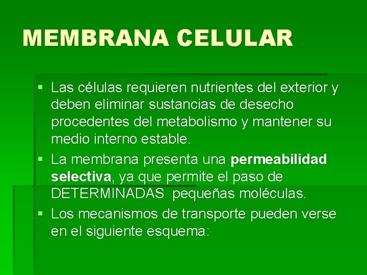 MEMBRANA CELULAR § Las células requieren nutrientes del exterior y deben eliminar sustancias de