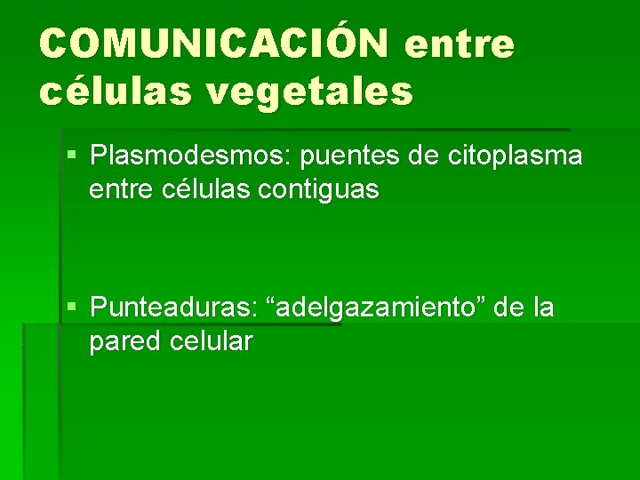 COMUNICACIÓN entre células vegetales § Plasmodesmos: puentes de citoplasma entre células contiguas § Punteaduras: