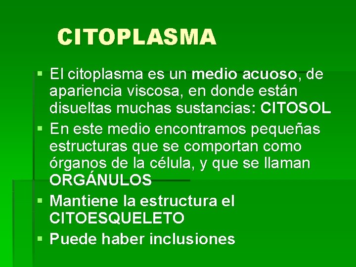 CITOPLASMA § El citoplasma es un medio acuoso, de apariencia viscosa, en donde están