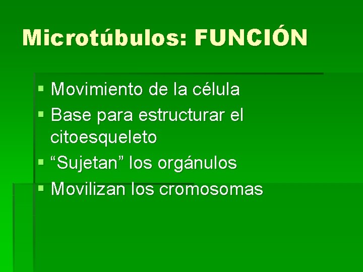 Microtúbulos: FUNCIÓN § Movimiento de la célula § Base para estructurar el citoesqueleto §