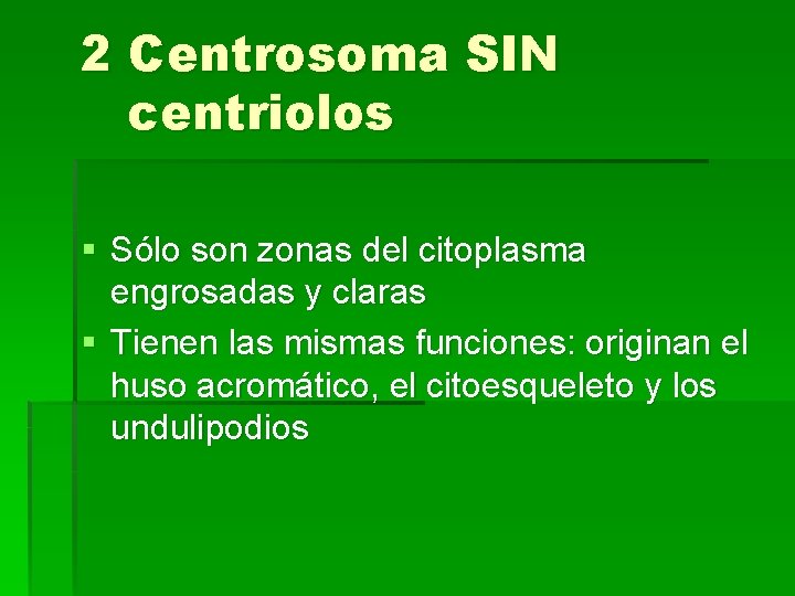 2 Centrosoma SIN centriolos § Sólo son zonas del citoplasma engrosadas y claras §