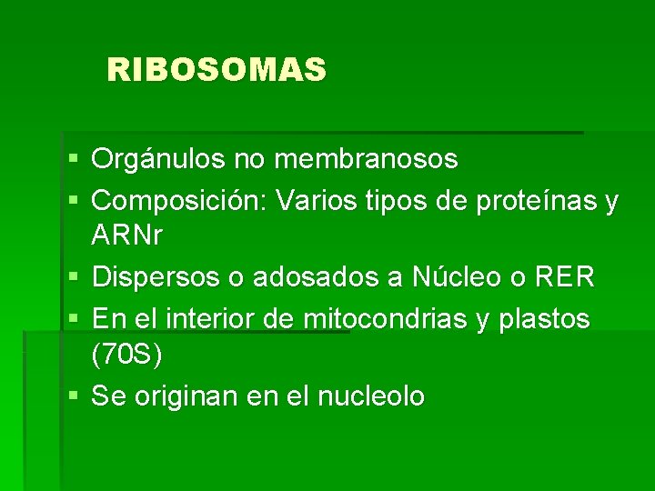 RIBOSOMAS § Orgánulos no membranosos § Composición: Varios tipos de proteínas y ARNr §