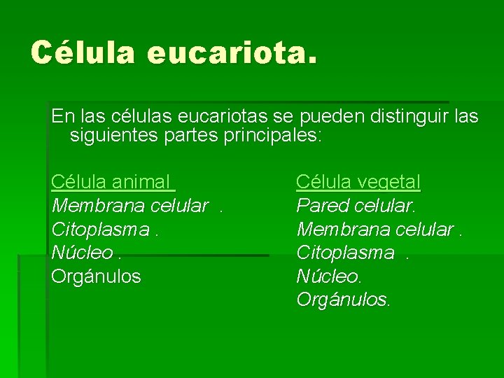 Célula eucariota. En las células eucariotas se pueden distinguir las siguientes partes principales: Célula