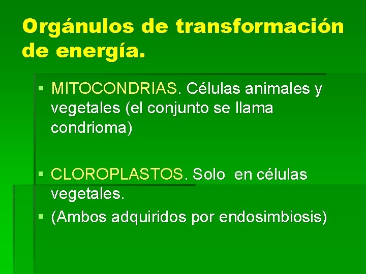 Orgánulos de transformación de energía. § MITOCONDRIAS. Células animales y vegetales (el conjunto se