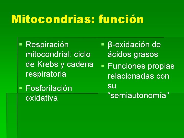 Mitocondrias: función § Respiración § β-oxidación de mitocondrial: ciclo ácidos grasos de Krebs y