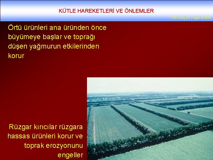 KÜTLE HAREKETLERİ VE ÖNLEMLER YRD. Doç. Dr. Yaşar EREN Örtü ürünleri ana üründen önce