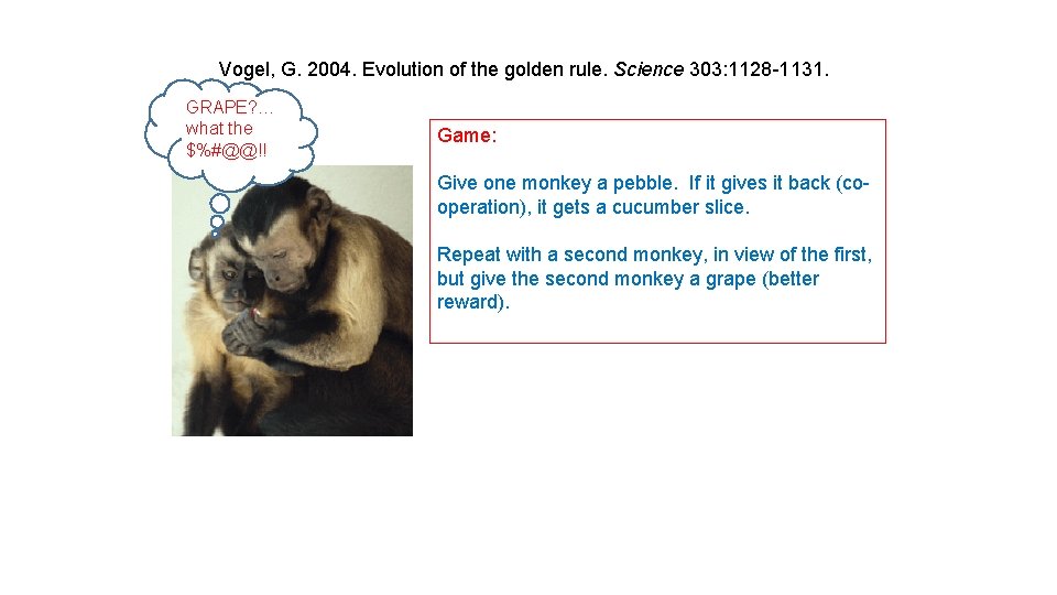 Vogel, G. 2004. Evolution of the golden rule. Science 303: 1128 -1131. GRAPE? …