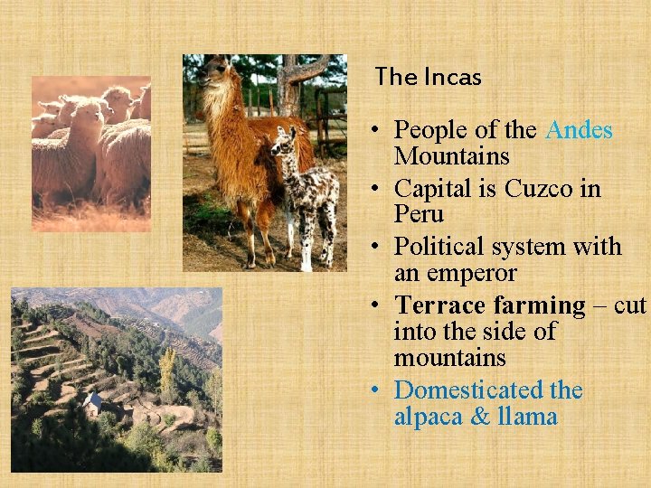 The Incas • People of the Andes Mountains • Capital is Cuzco in Peru