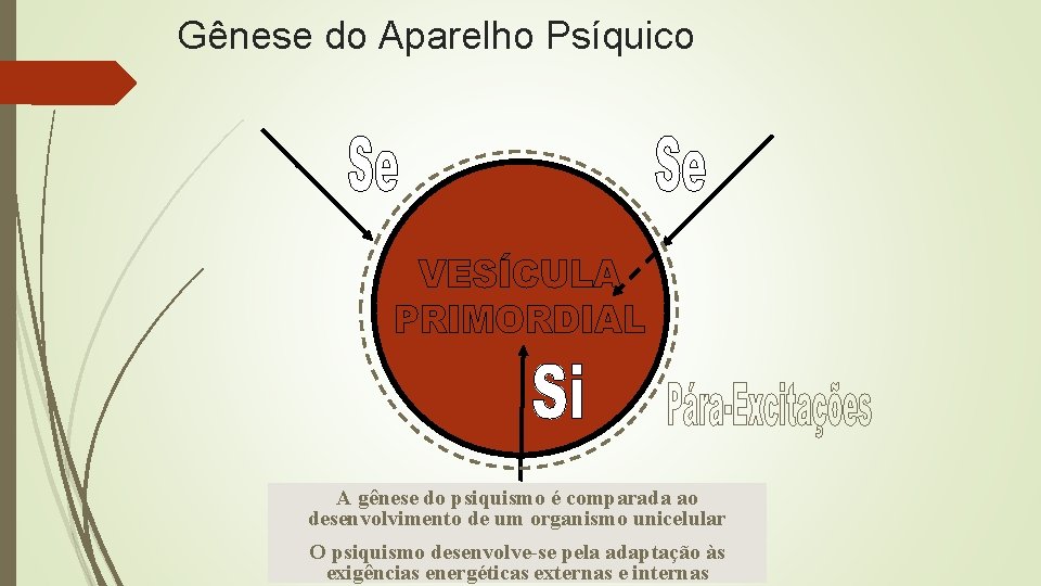 Gênese do Aparelho Psíquico A gênese do psiquismo é comparada ao desenvolvimento de um