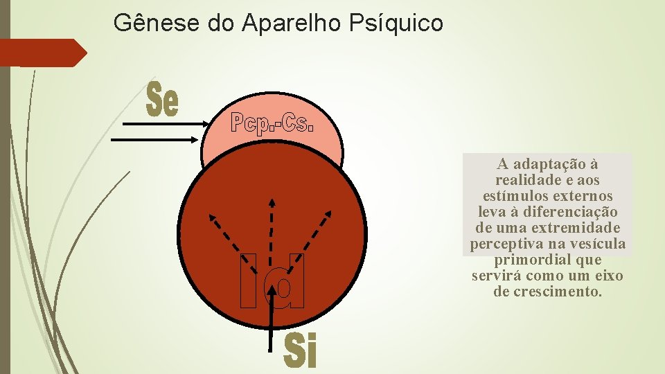 Gênese do Aparelho Psíquico A adaptação à realidade e aos estímulos externos leva à