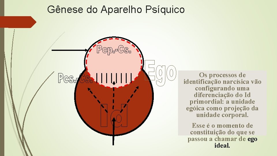 Gênese do Aparelho Psíquico Os processos de identificação narcísica vão configurando uma diferenciação do