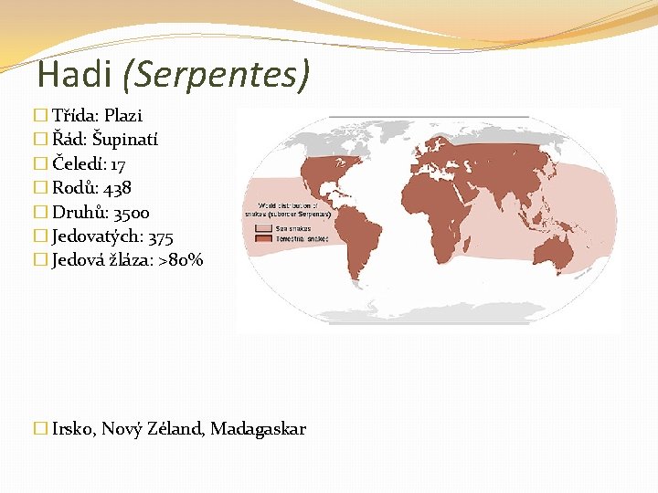 Hadi (Serpentes) � Třída: Plazi � Řád: Šupinatí � Čeledí: 17 � Rodů: 438
