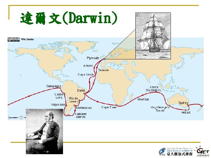 達爾文(Darwin) Wiki Sémhur 