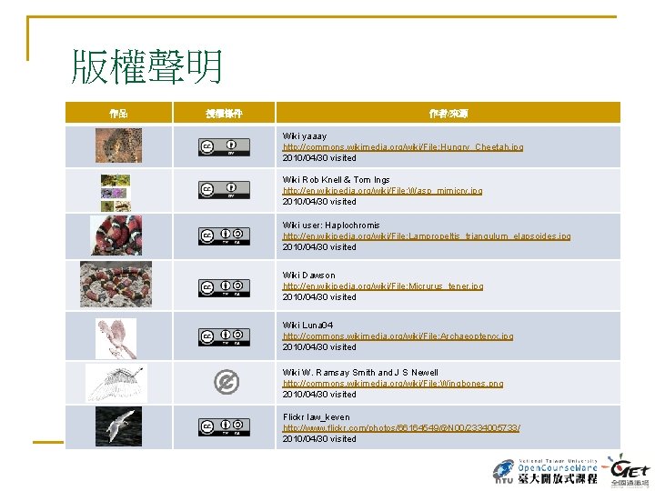 版權聲明 作品 授權條件 作者/來源 Wiki yaaay http: //commons. wikimedia. org/wiki/File: Hungry_Cheetah. jpg 2010/04/30 visited