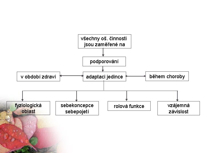 Znázornění ošetřovatelských činností v modelu všechny oš. činnosti jsou zaměřené na podporování v období