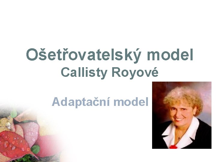 Ošetřovatelský model Callisty Royové Adaptační model 