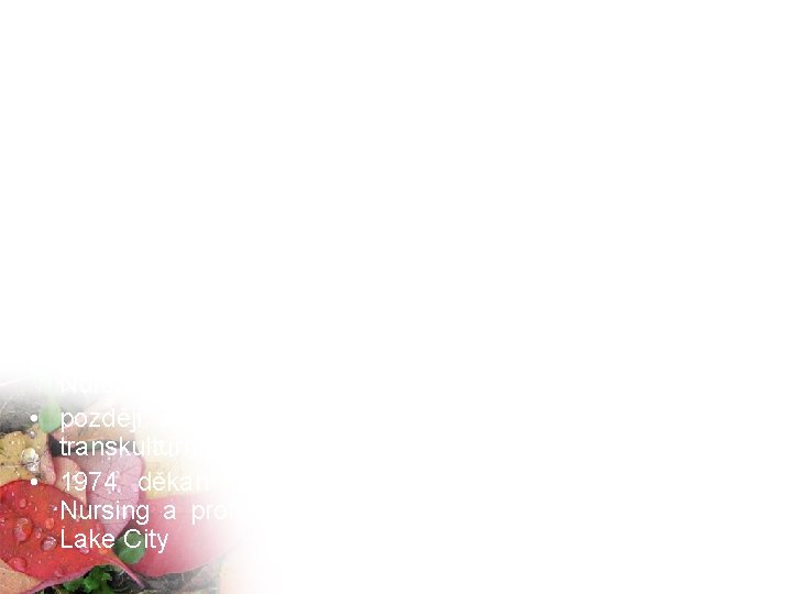 Madeleine Leiningerová Pracovala: • jako řadová a staniční sestra na chirurgickém oddělení, později jako