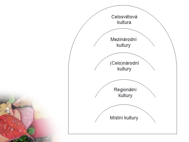 Celosvětová kultura Mezinárodní kultury (Celo)národní kultury Regionální kultury Místní kultury 