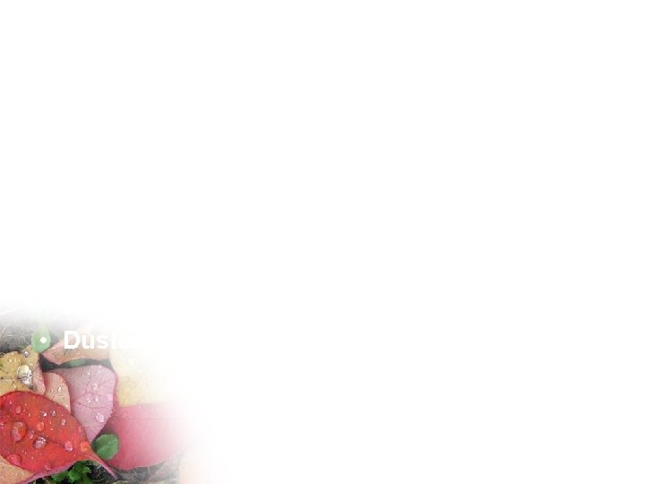 Hlavní jednotky • • Cíl ošetřovatelství Pacient/ klient Role sestry Zdroj potíží Ohnisko zásahu