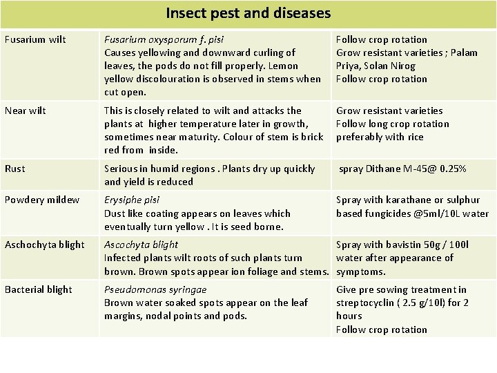 Insect pest and diseases Fusarium wilt Fusarium oxysporum f. pisi Causes yellowing and downward
