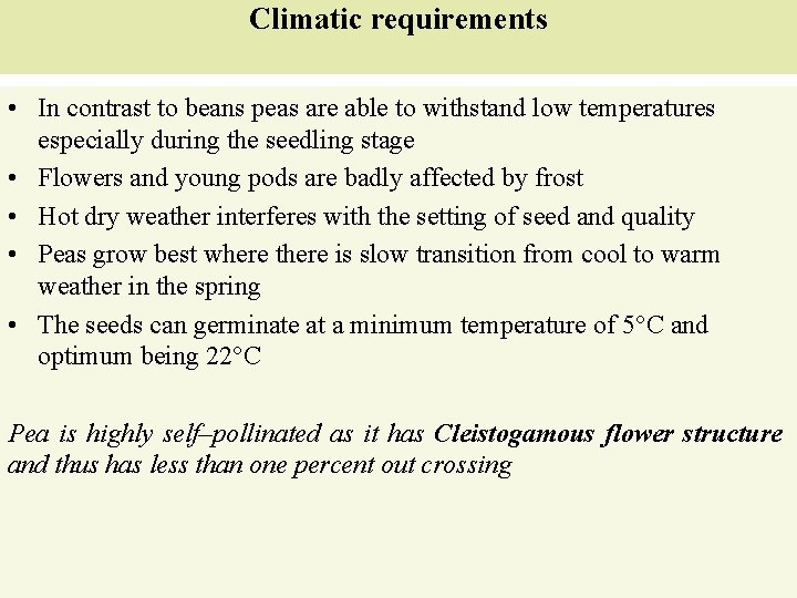 Climatic requirements • In contrast to beans peas are able to withstand low temperatures
