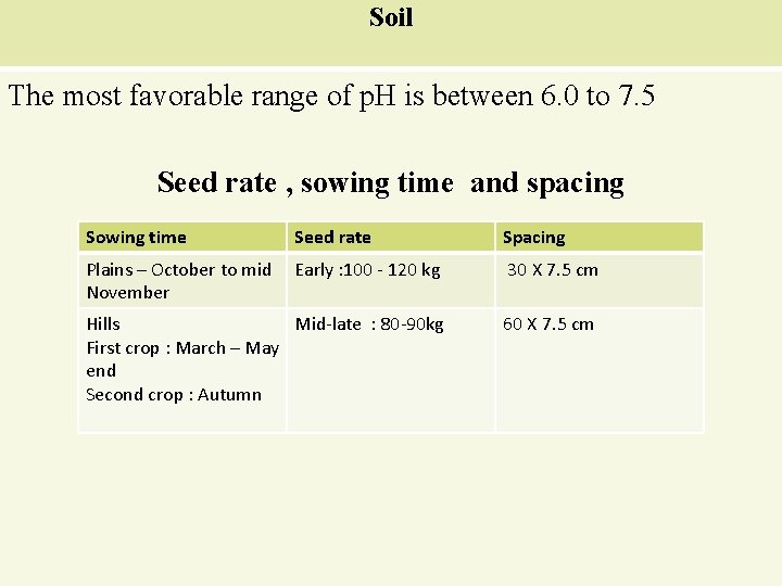 Soil The most favorable range of p. H is between 6. 0 to 7.