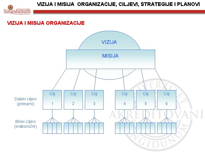 VIZIJA I MISIJA ORGANIZACIJE, CILJEVI, STRATEGIJE I PLANOVI VIZIJA I MISIJA ORGANIZACIJE VIZIJA MISIJA