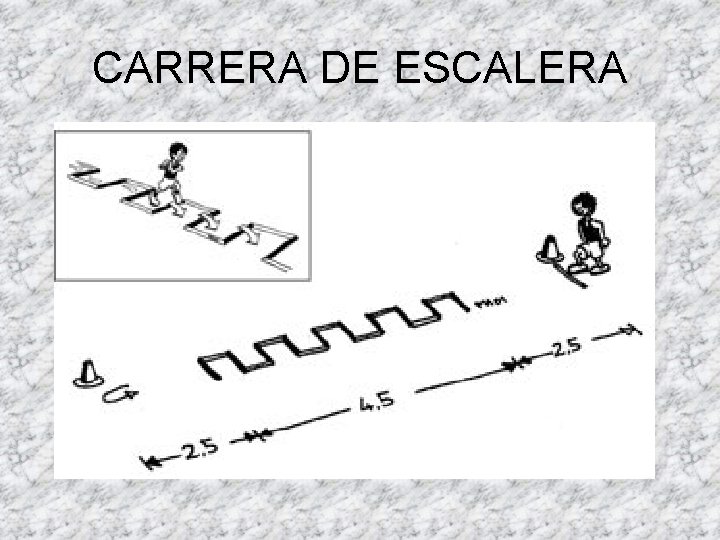 CARRERA DE ESCALERA 