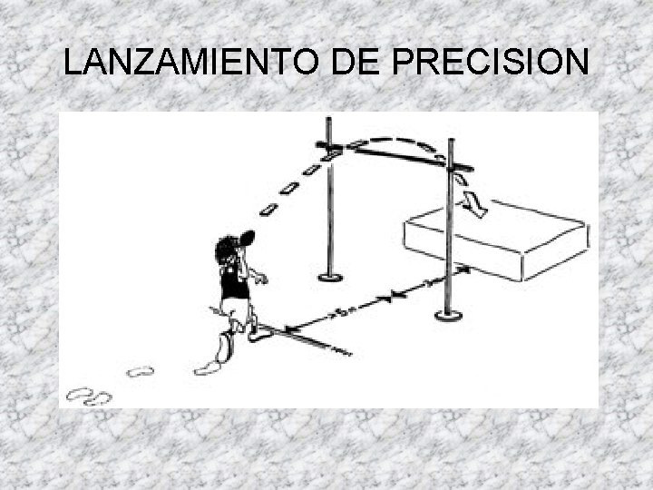 LANZAMIENTO DE PRECISION 