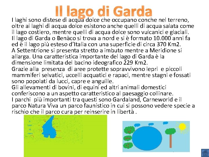 Il lago di Garda I laghi sono distese di acqua dolce che occupano conche