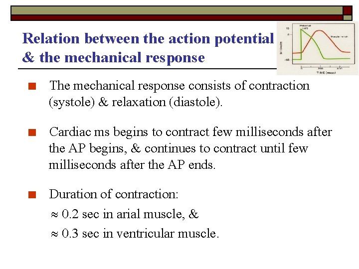 Relation between the action potential & the mechanical response ■ The mechanical response consists