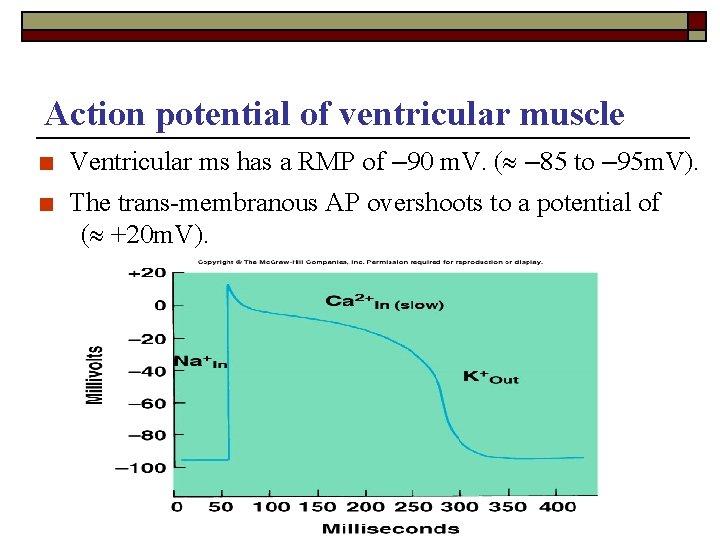 Action potential of ventricular muscle ■ Ventricular ms has a RMP of – 90