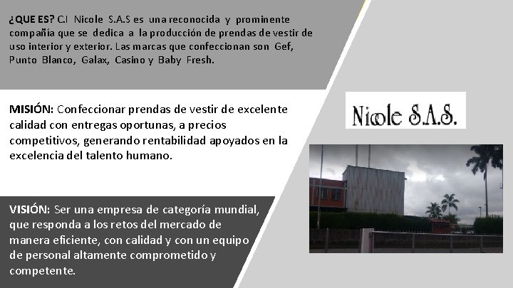 ¿QUE ES? C. I Nicole S. A. S es una reconocida y prominente compañía