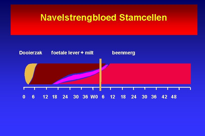  Navelstrengbloed Stamcellen Dooierzak foetale lever + milt beenmerg 0 6 12 18 24