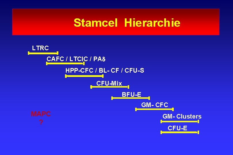  Stamcel Hierarchie LTRC CAFC / LTCIC / PAd HPP-CFC / BL- CF /