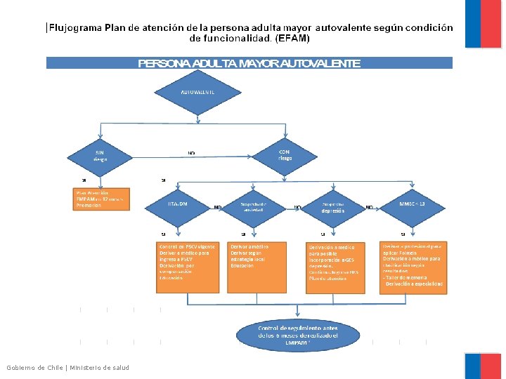 Gobierno de Chile | Ministerio de salud 