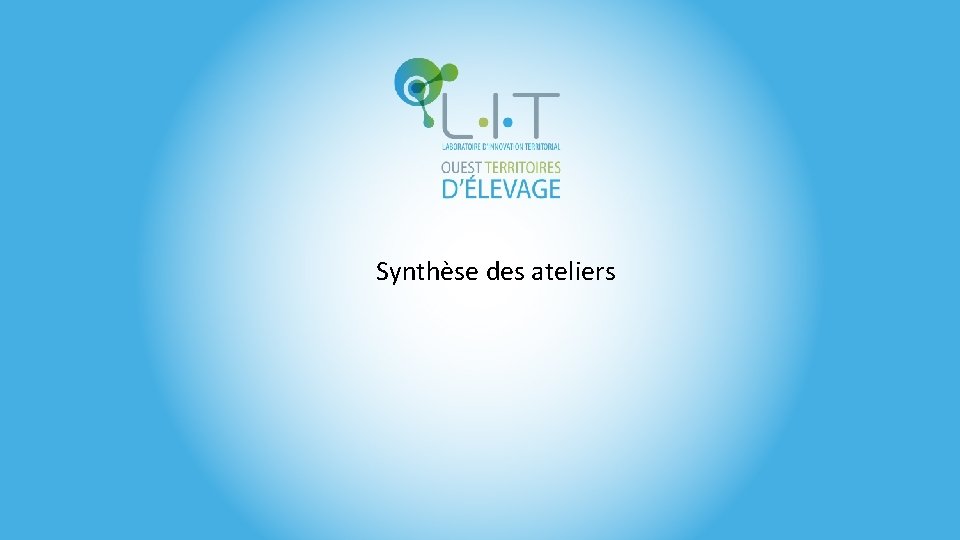 Synthèse des ateliers Synthèse des ateliers