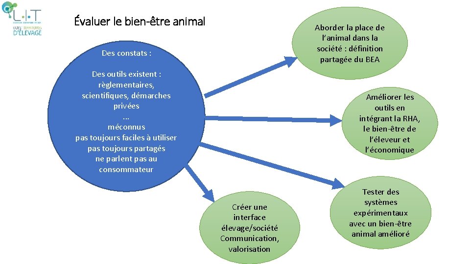 Évaluer le bien-être animal Aborder la place de l’animal dans la société : définition Évaluer le bien-être animal Aborder la place de l’animal dans la société : définition