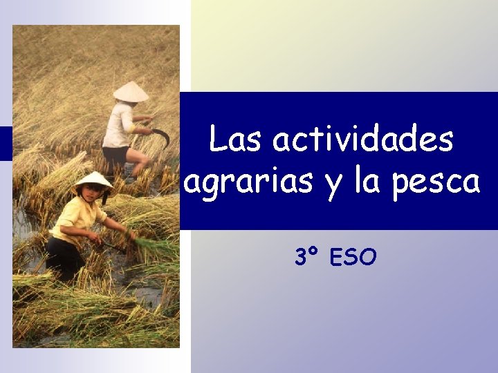 Las actividades agrarias y la pesca 3º ESO 