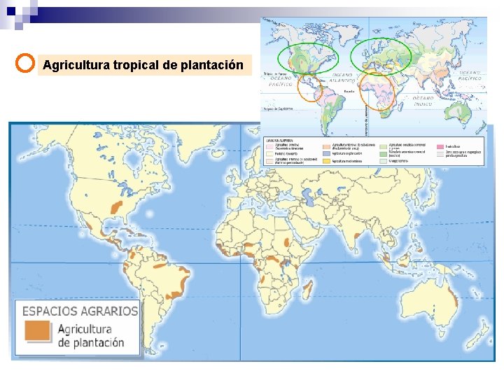 Agricultura tropical de plantación 