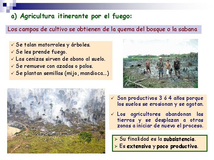 a) Agricultura itinerante por el fuego: Los campos de cultivo se obtienen de la