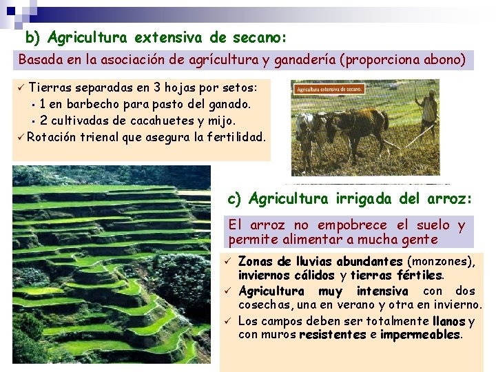 b) Agricultura extensiva de secano: Basada en la asociación de agrícultura y ganadería (proporciona