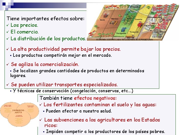 Tiene importantes efectos sobre: Los precios. El comercio. La distribución de los productos. La