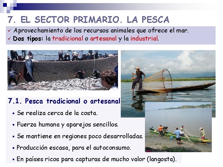 7. EL SECTOR PRIMARIO. LA PESCA Aprovechamiento de los recursos animales que ofrece el