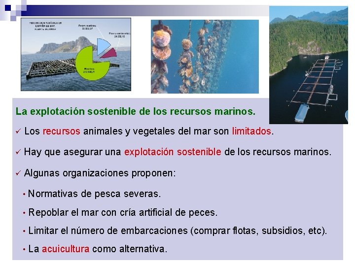 La explotación sostenible de los recursos marinos. Los recursos animales y vegetales del mar