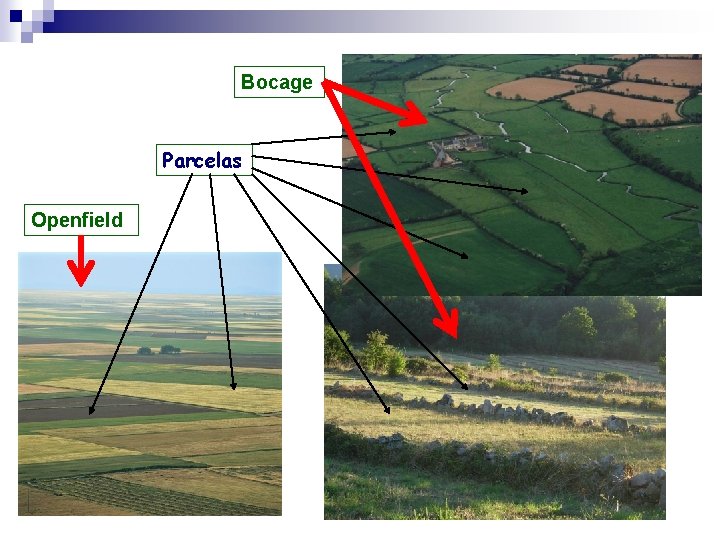 Bocage Parcelas Openfield 