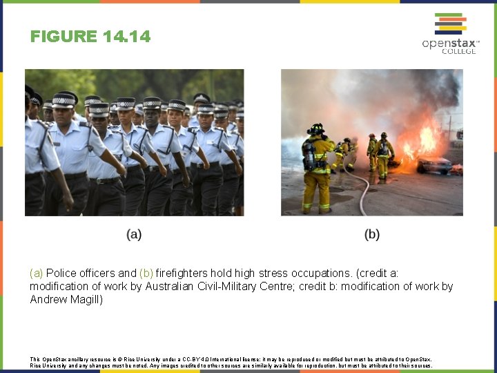 FIGURE 14. 14 (a) Police officers and (b) firefighters hold high stress occupations. (credit