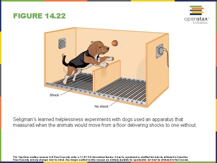 FIGURE 14. 22 Seligman’s learned helplessness experiments with dogs used an apparatus that measured
