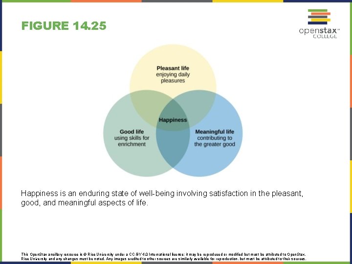 FIGURE 14. 25 Happiness is an enduring state of well-being involving satisfaction in the